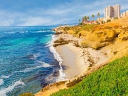 Chiropractic Practice for Sale in N. San Diego CA Area