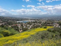 Chiropractic Practice for Sale in Anaheim, CA Area