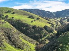 Chiropractic Practice for Sale in Monterey County, CA Area