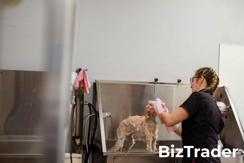 Businesses For Sale | Pet Grooming Businesses For Sale