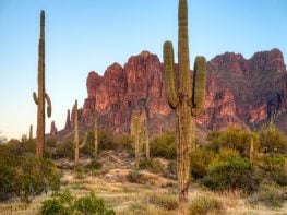 Chiropractic Practice for Sale in Mesa, AZ