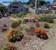 Turnkey Curated Mineral Gallery & Fine Natural Jewelry Shop Assets + Established Lease